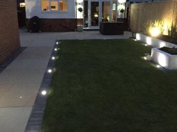 grass-garden-lights